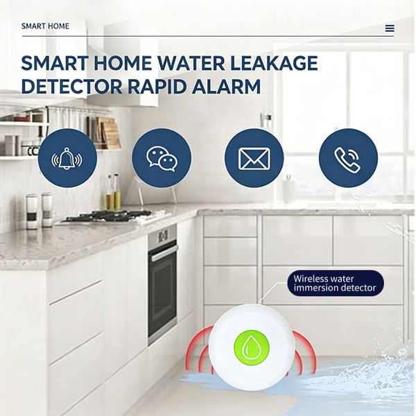 Smart Gas Leak Detector with Auto Valve export case Osaka