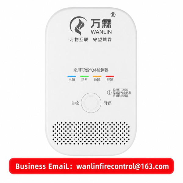 4G Gas and CO Combination Detector Product Image — Wanlin Fire Protection siren alarm gas detector