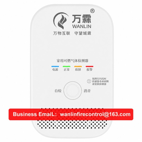 Gas Detector with Wall Mount China Manufacturer,4G Gas Detector,OEM/ODM Global Shipping to New Zeala